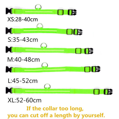 Pet collar that glows in the dark PRECIFICAR