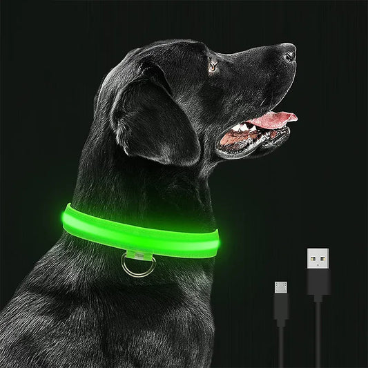 Pet collar that glows in the dark PRECIFICAR