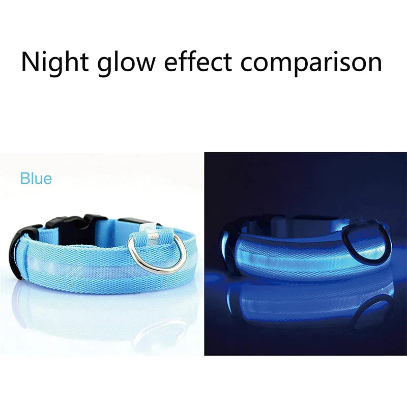 Pet collar that glows in the dark PRECIFICAR