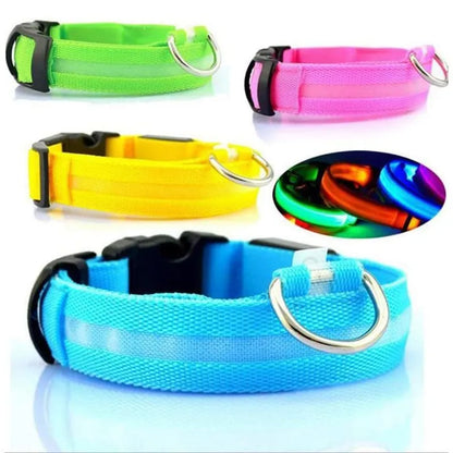 Pet collar that glows in the dark PRECIFICAR