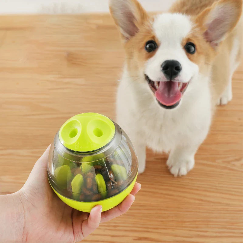 Pet Snack Dispenser Toy - ACHAR FORNECEDOR