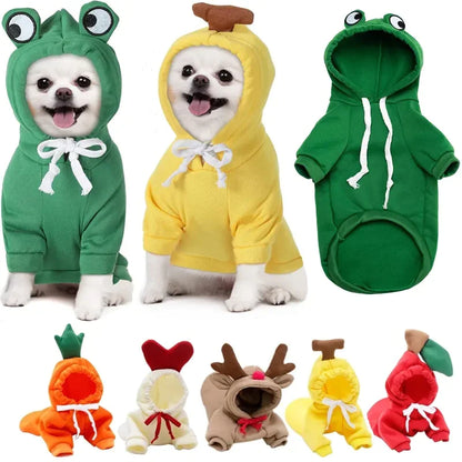 Dog Winter Clothes PRECIFICAR